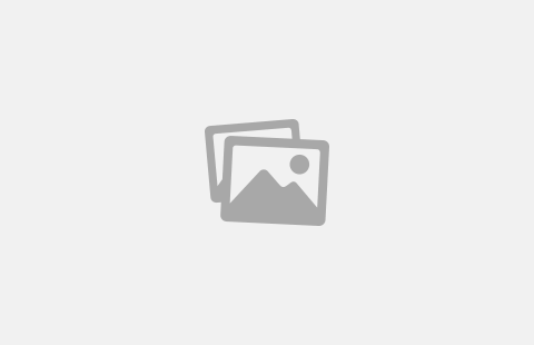 Maxxed Casino Review: Play Casino Online in Canada for Real Wins